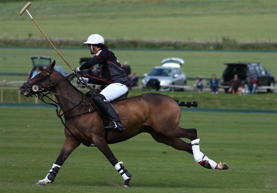 POLO Celine MP-British Gold Cup 2012-2