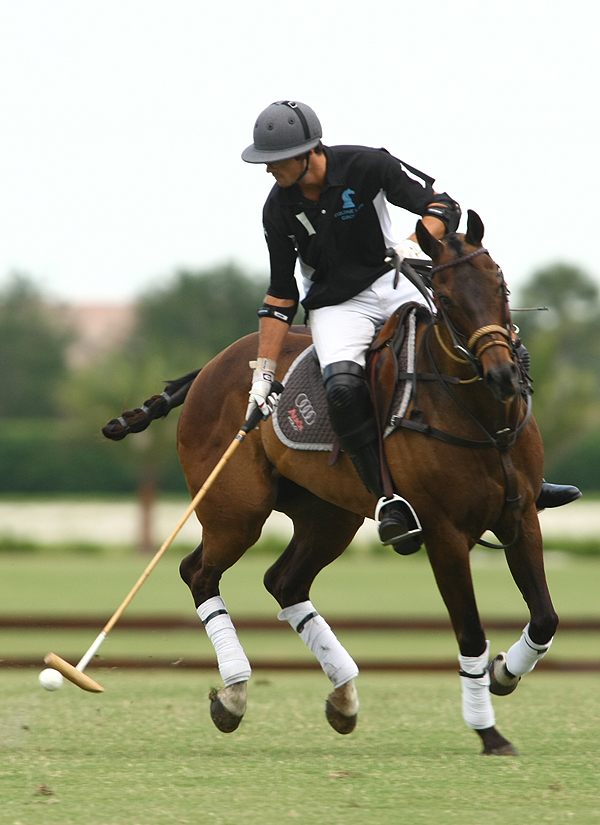 POLO USPA Sun Cup-photos by Alex Pacheco 17