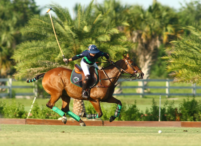 polo game yp com audi polo team pacheco ph 1
