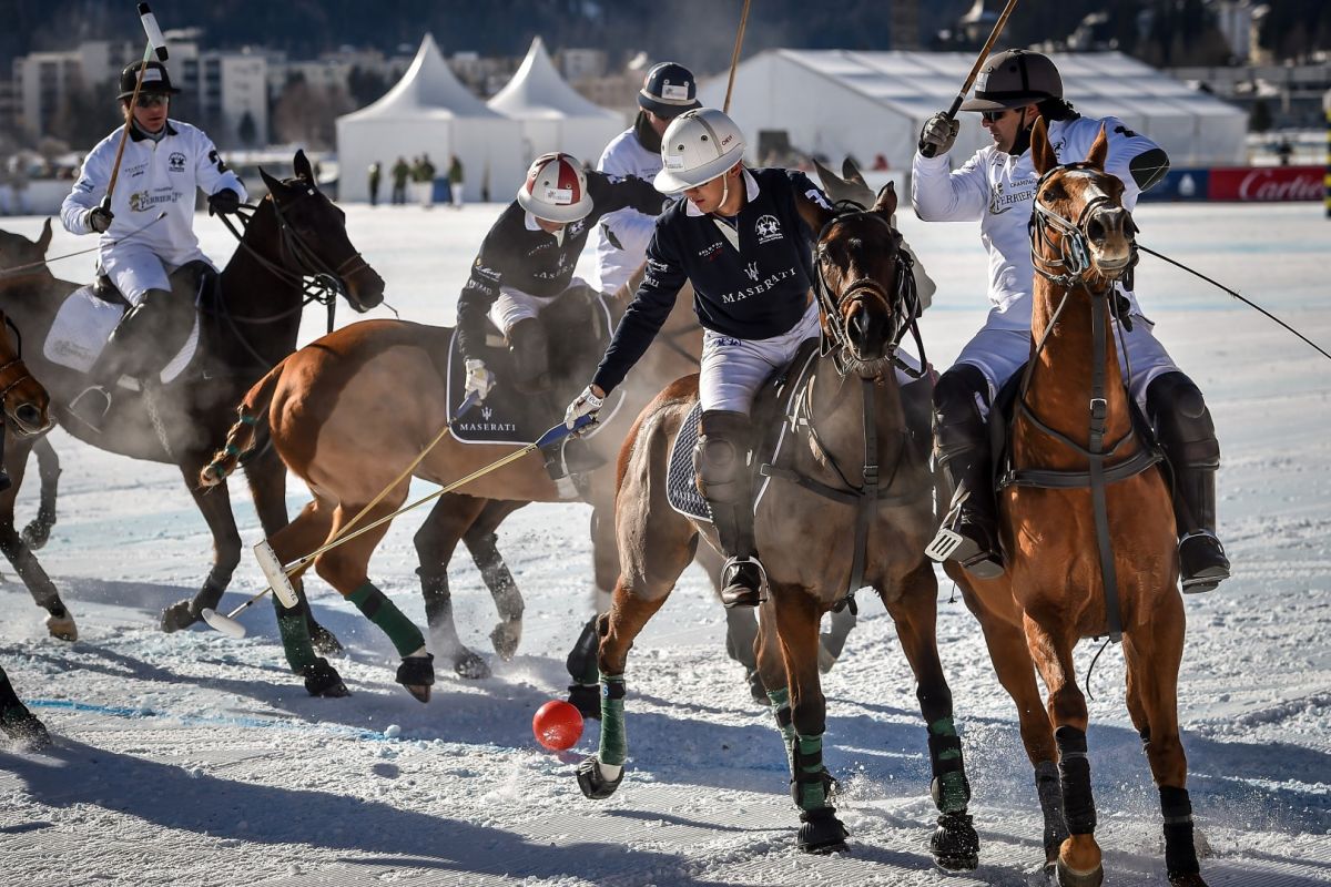 695440407TP081 Maserati Pol