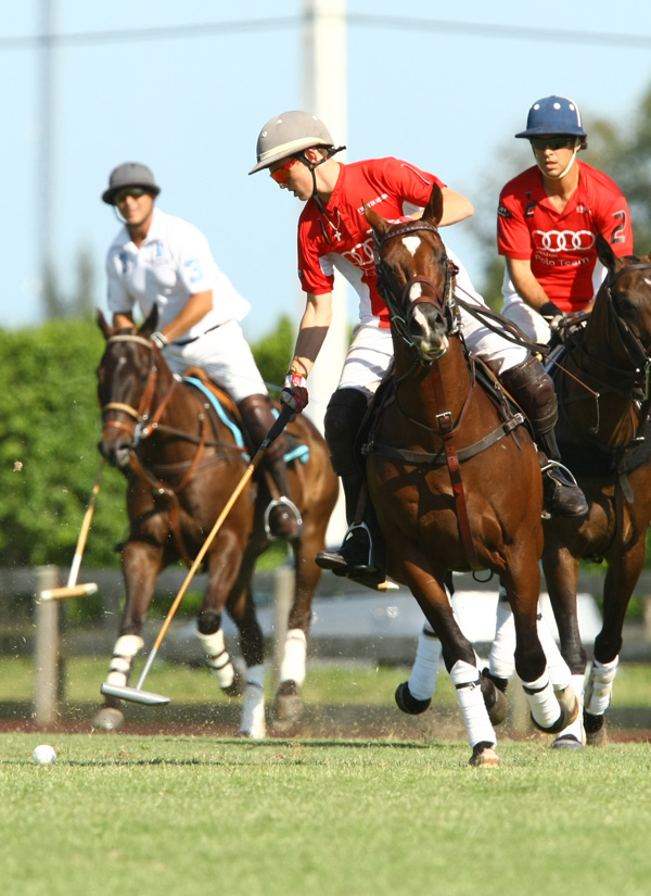 audi polo team elg polo team 1