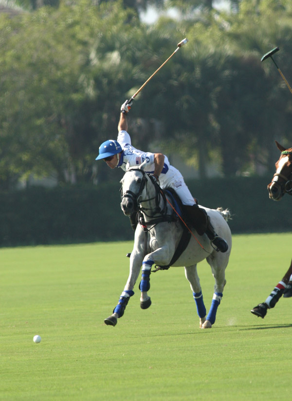 ipcinternationalpolopolomagazine 1